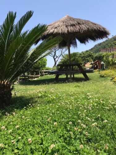 Agriturismo del Sole - image 7