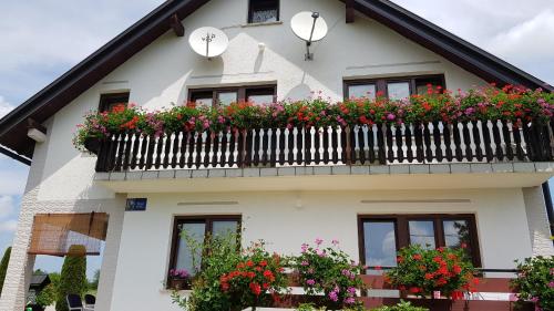 Guest House Adrijana in دريزنيك جراد