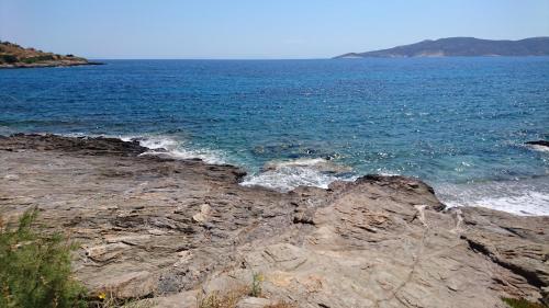 Το πετρινο