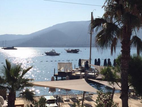 Hotels Image