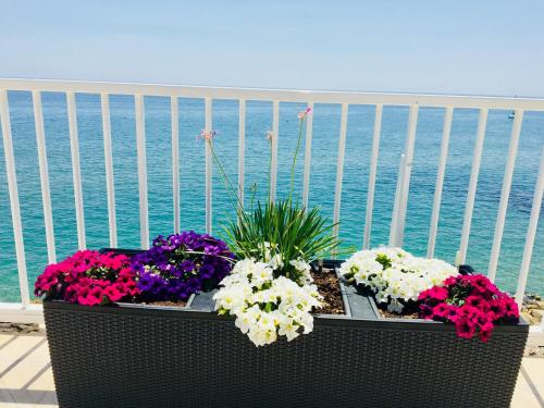 Grand Hotel L'Approdo - image 12
