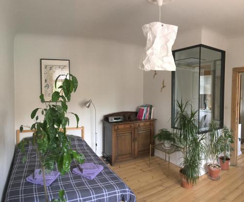 Sunrise apartment in the quiet centre, Riga
