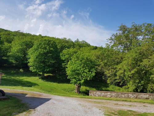 Agriturismo Bio I Rondinelli - image 12