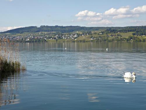 Hotel-Restaurant-Schifflände