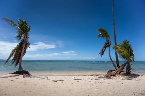 Coco Beach Resort In Rio Grande Puerto Rico 10 Reviews Prices Planet Of Hotels
