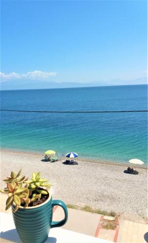  Mondo Cosseri Akrata, Pension in Akráta bei Stómion