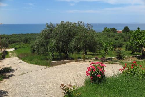 Ionian Blue View