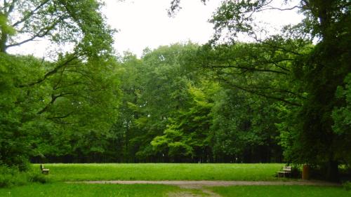 Appartement les Acacias