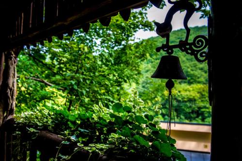 Patak Park Hotel - Adults Only - image 12