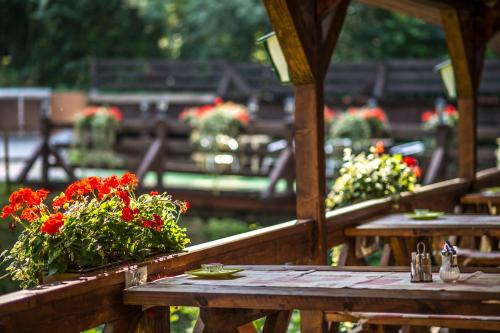 Patak Park Hotel - Adults Only - image 6