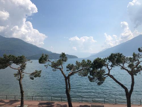 Hotel Mojito - image 14