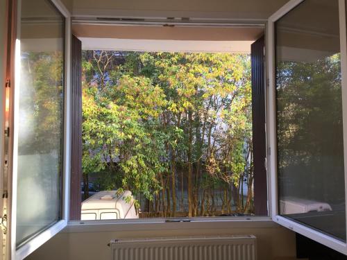Appartement Mimosa - image 5