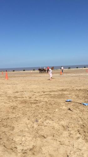Pine drive, Mablethorpe (foto 4)