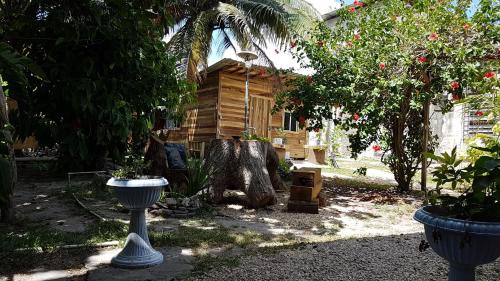 Casa Ricky's in Orange Walk