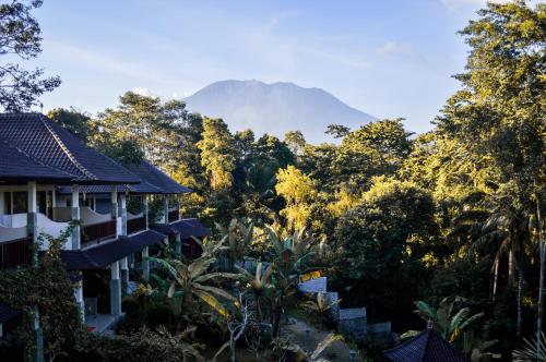 Sweet Escape in Sidemen