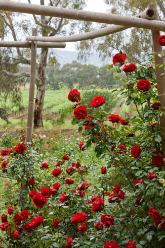 The Residence at Barossa Chateau