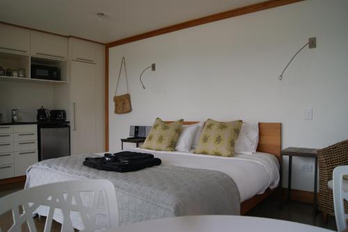 Oriental Bay At Its Best in Oriental Parade