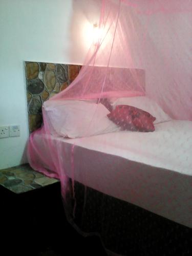 Lotus Inn Tourist Resort