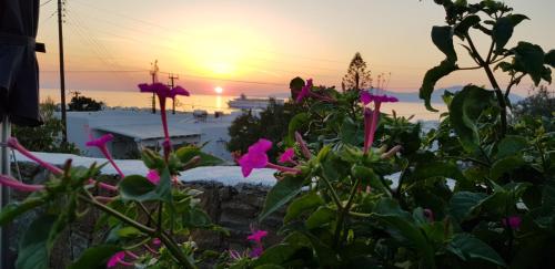 Villa Varnali Small Boutique Hotel