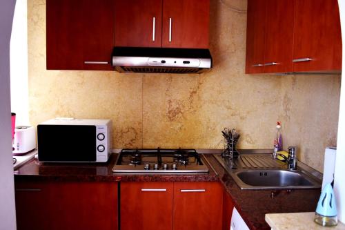 Grand Central Accomodation Doamnei2 - image 4