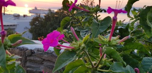 Villa Varnali Small Boutique Hotel