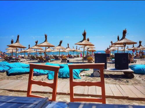 Yvo Lioness & Mamaia Nord - image 8