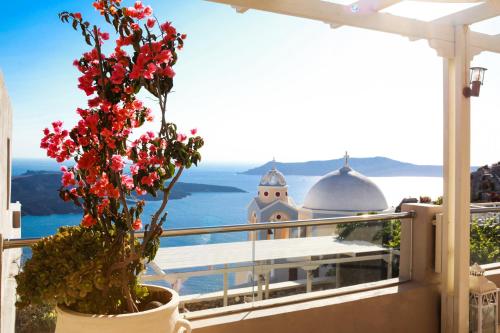 Lava Suites & Lounge - image 3