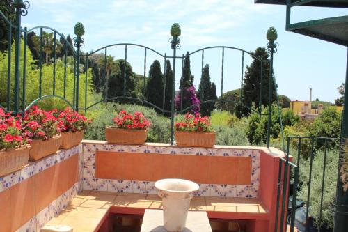 B&B Casa al Vicolo 2 5