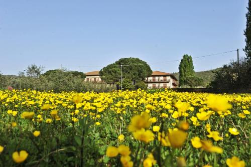 Hotel Torricella