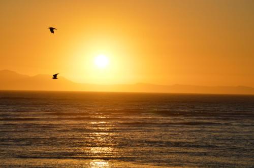 Ocean View 201A, Strand (fotografie 7)