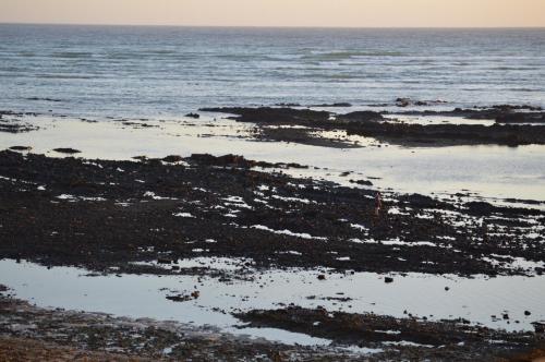 Ocean View 201A, Strand (fotografie 6)