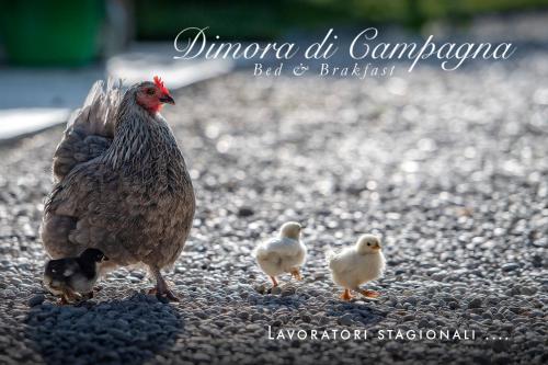 Dimora di Campagna