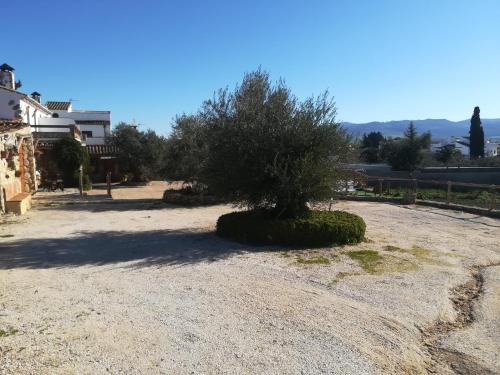 Alojamiento Rural La Pila, Ronda (photo 10)