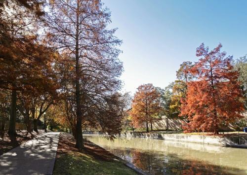THE MADISON - San Antonio Riverwalk - Downtown - Convention Center 3