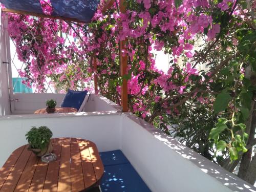 Doron Hotel Delfini - image 6