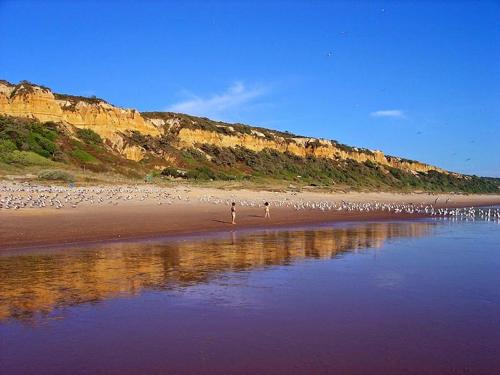  Domus Artemisia Beach House in Charneca
