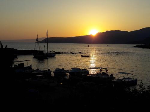 편의 시설/서비스, Ouranias Studios in 캄포스