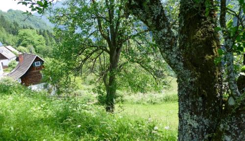 Romantische Ferienhütte Ennstaler Nat Kalkalpen bis 6 Personen