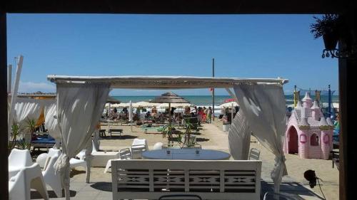 L'oasi di Ambra 3