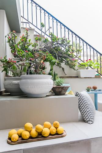 Sunshine Boutique Hotel - image 3