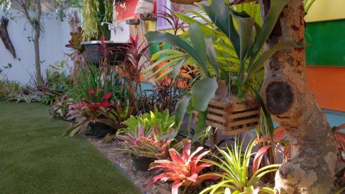 BeachPoint Cottages in Siesta Key, USA