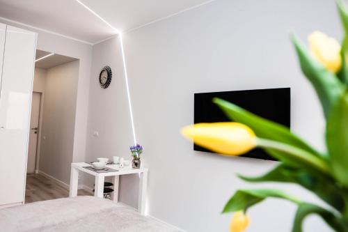 Novel Room Type - Apartment
