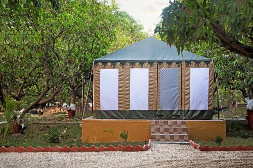 Gir Lion Safari Camp, Sasan Gir