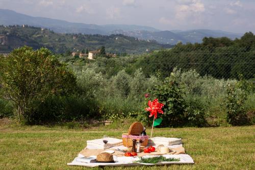 Tenuta Torre Rossa Farm & Apartments - image 14