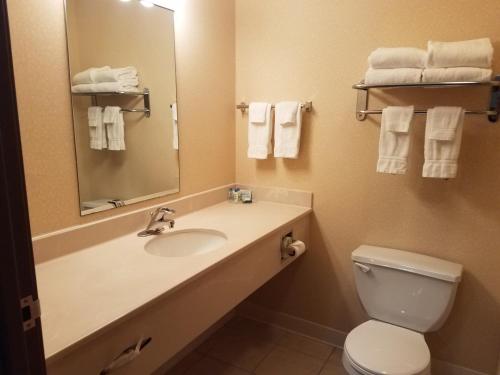 Oak Hill Inn & Suites Canton (MO)