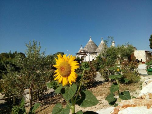 Trulli La collinetta