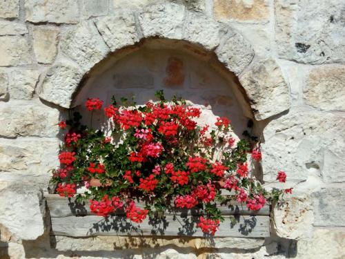 Trulli La collinetta