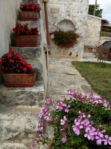 Trulli La collinetta