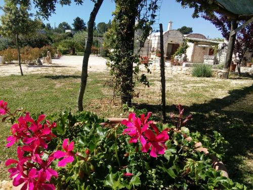 Trulli La collinetta