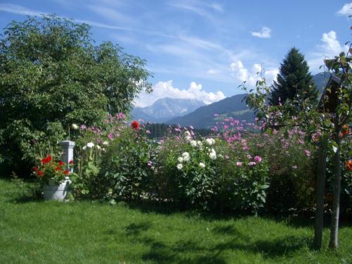 Ferienhaus Mandl Garten Sauna Hot Pot Pool